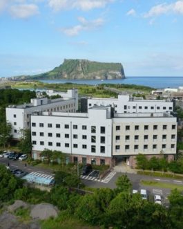[김포출발/에어카텔]제주 3일